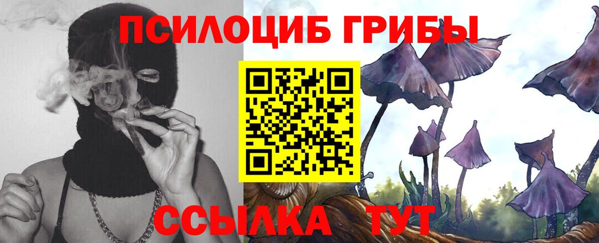 Котлас  Галлюциногенные грибы Cubensis  Вход с VPN 