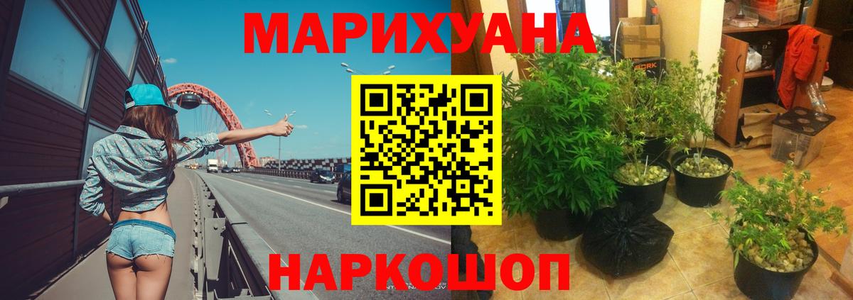 Шишки марихуана Bruce Banner  МАРИХУАНА Amnesia  Вход с VPN  Шишки марихуана MAZAR  Котлас 